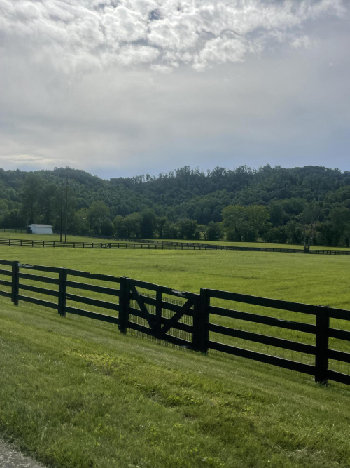 Listing Image 125