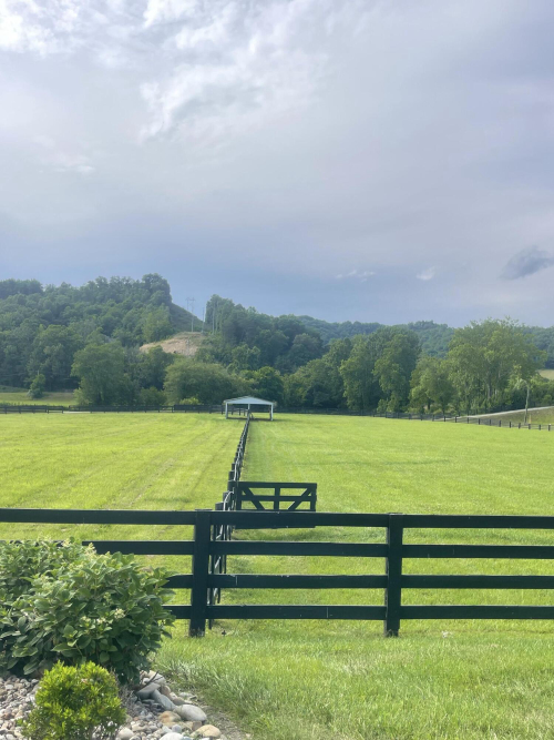 Listing Image 127