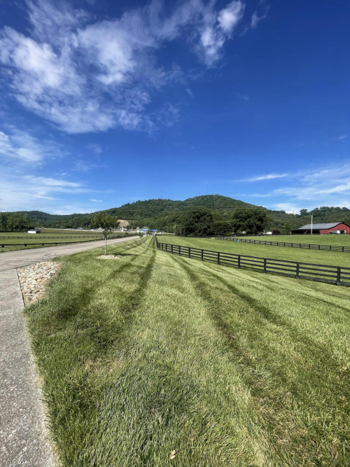 Listing Image 128