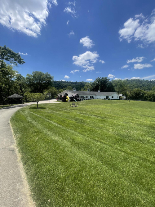 Listing Image 89