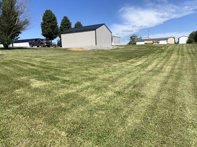 Listing Image 13