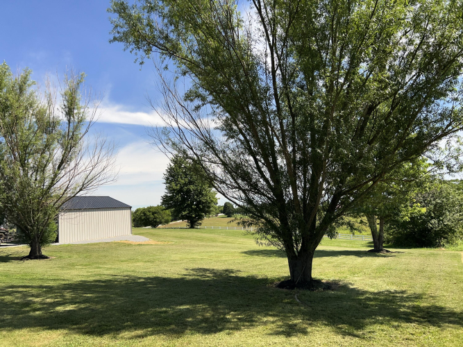 Listing Image 15