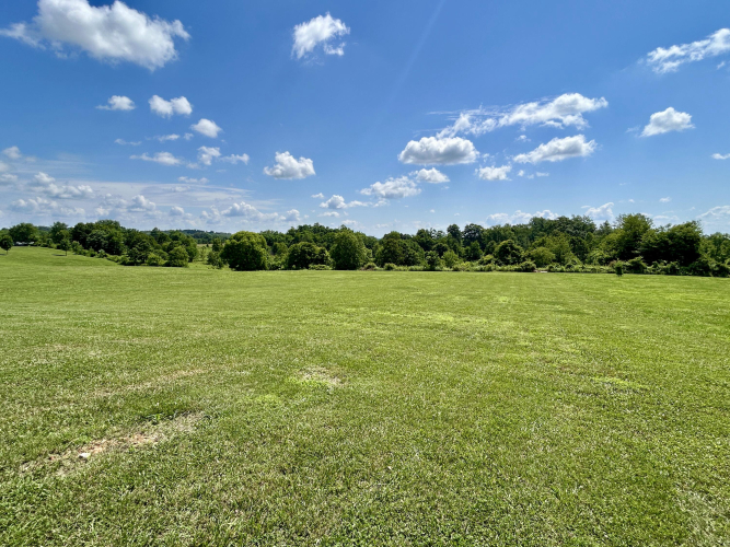 Listing Image 56