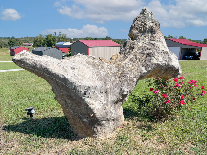 Listing Image 65