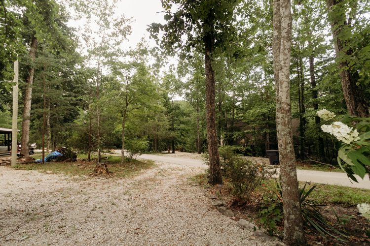 Listing Image 29