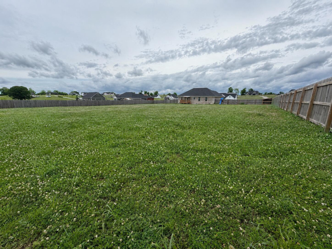 Listing Image 25