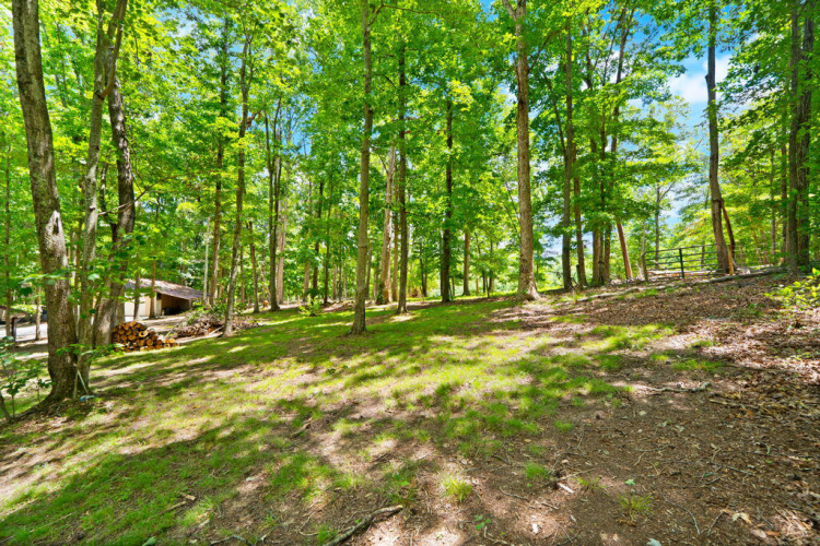 Listing Image 24