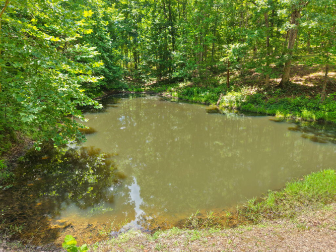 Listing Image 76