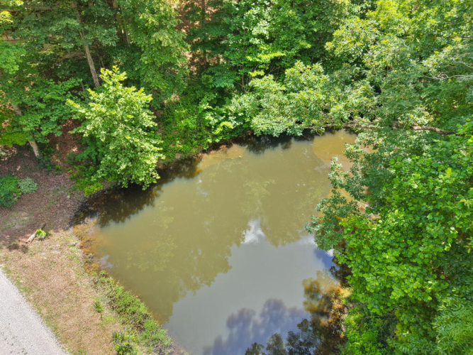 Listing Image 77