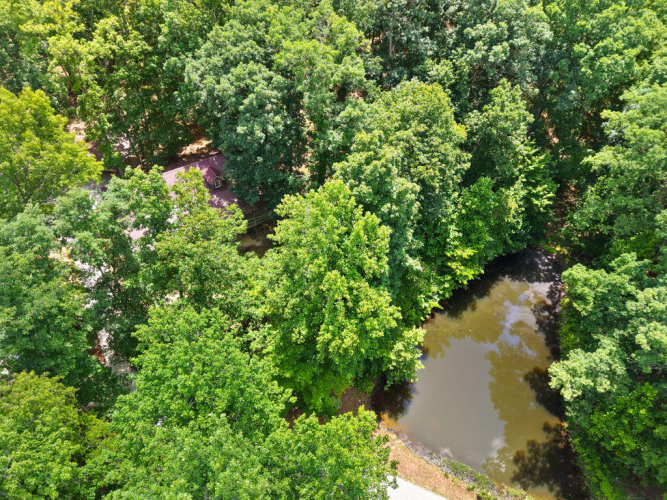 Listing Image 81