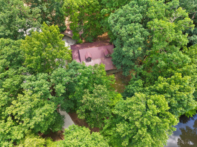 Listing Image 82