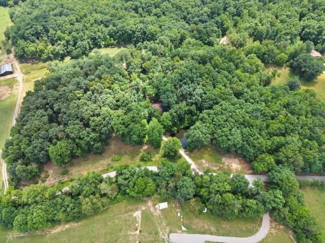 Listing Image 85