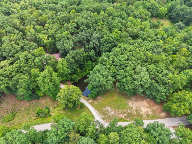 Listing Image 88