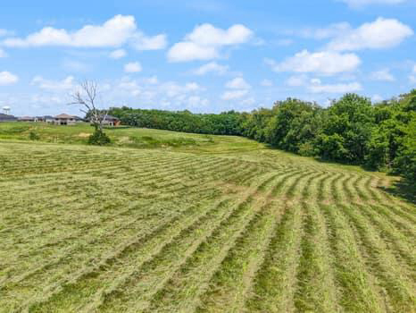 Listing Image 17