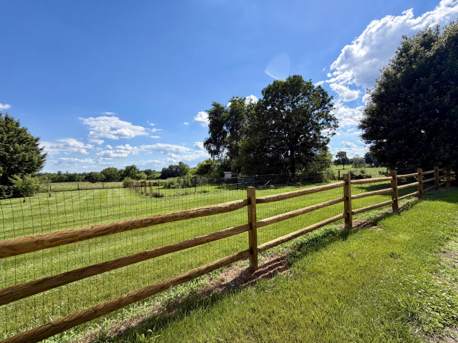 Listing Image 103