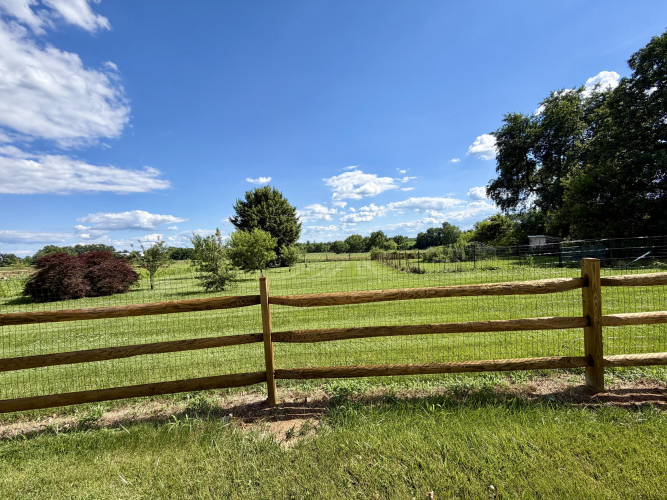 Listing Image 104