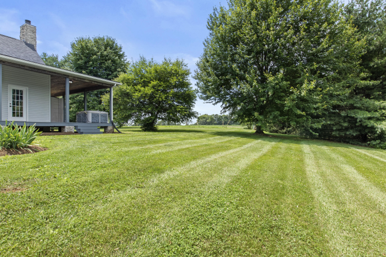 Listing Image 82