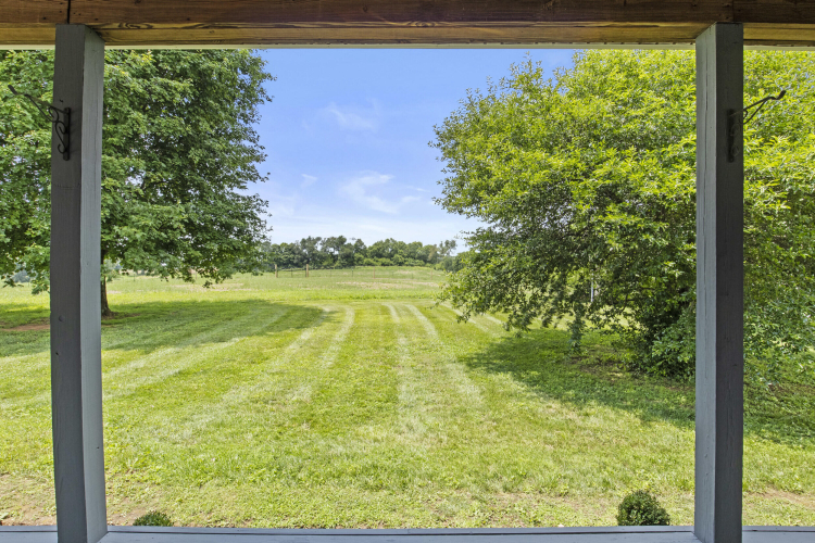 Listing Image 87