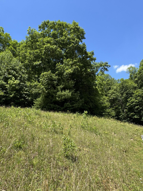 Listing Image 24