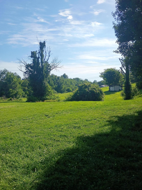 Listing Image 24