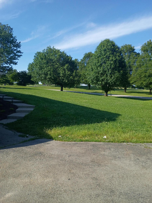 Listing Image 27