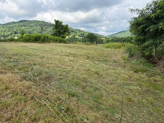 Listing Image 17