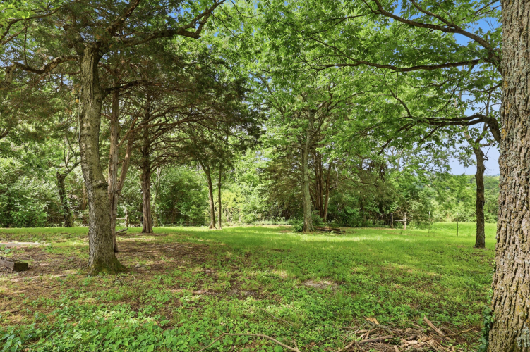 Listing Image 83
