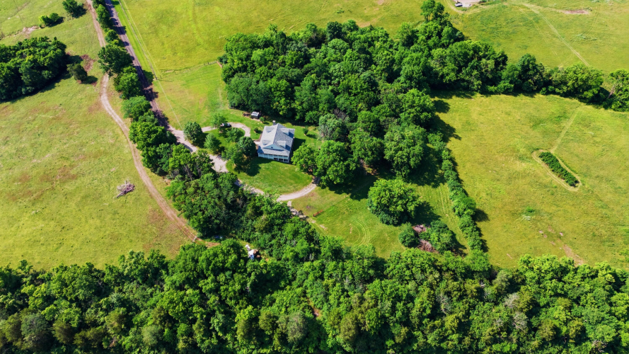 Listing Image 90