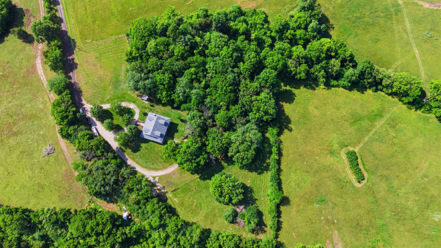 Listing Image 93