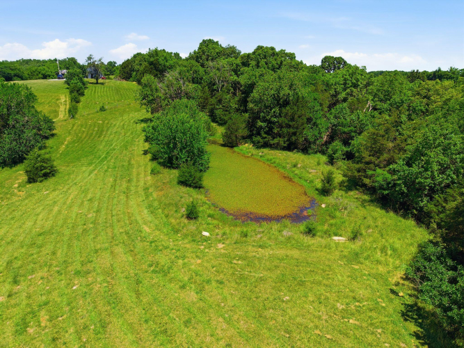 Listing Image 64