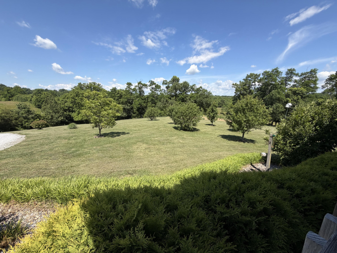 Listing Image 82