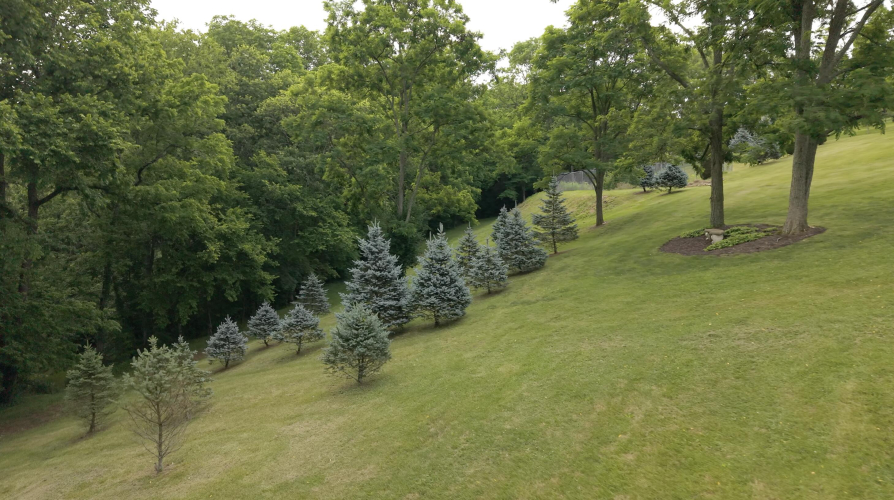 Listing Image 83