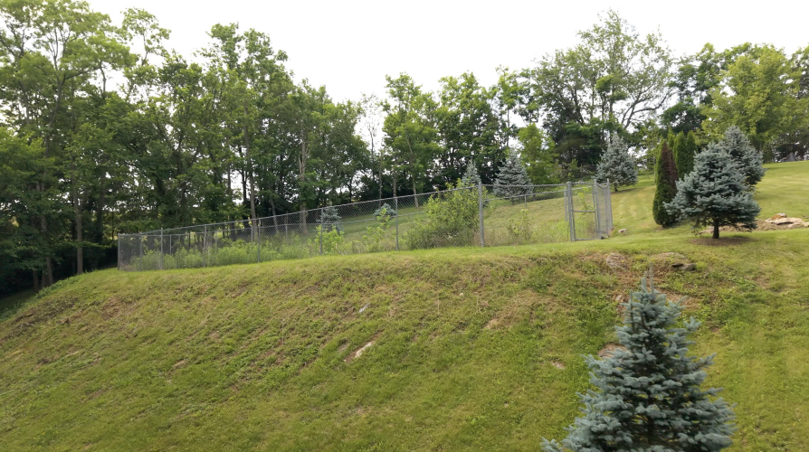 Listing Image 84