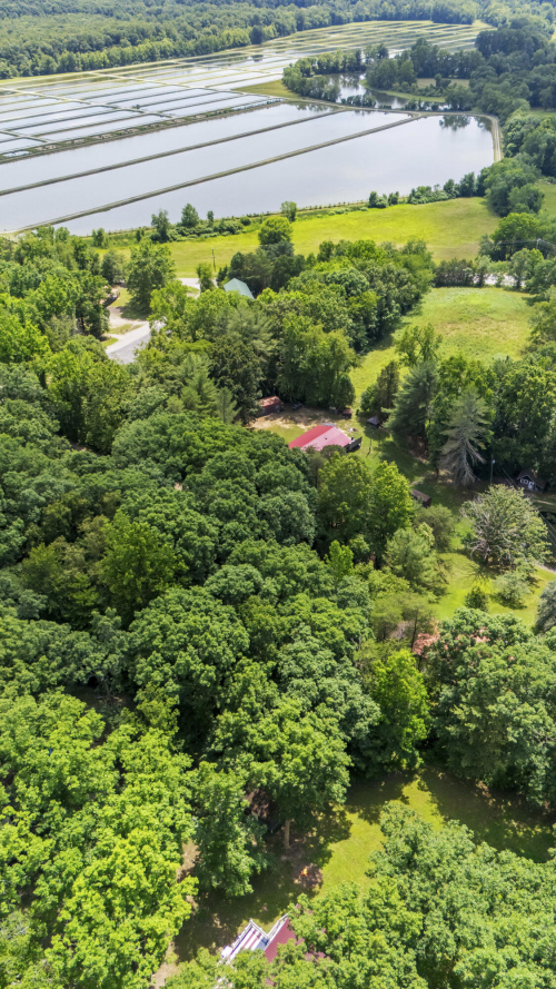 Listing Image 13