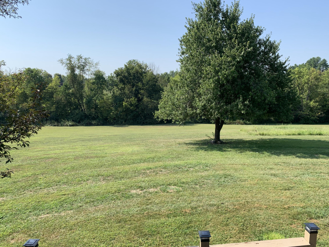 Listing Image 27