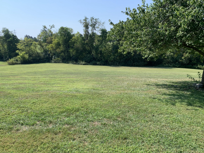 Listing Image 28