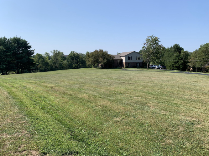 Listing Image 29