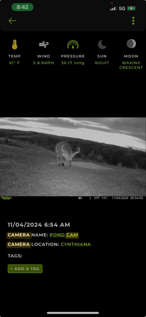 Listing Image 14