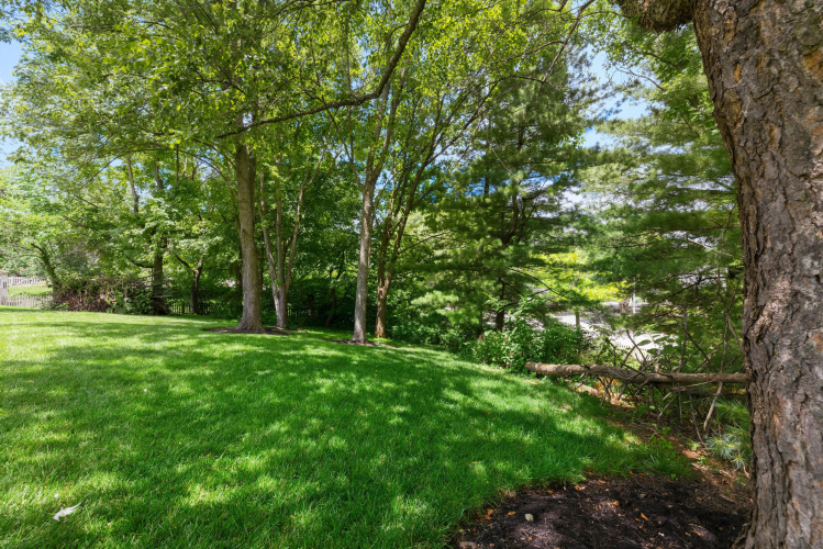 Listing Image 46