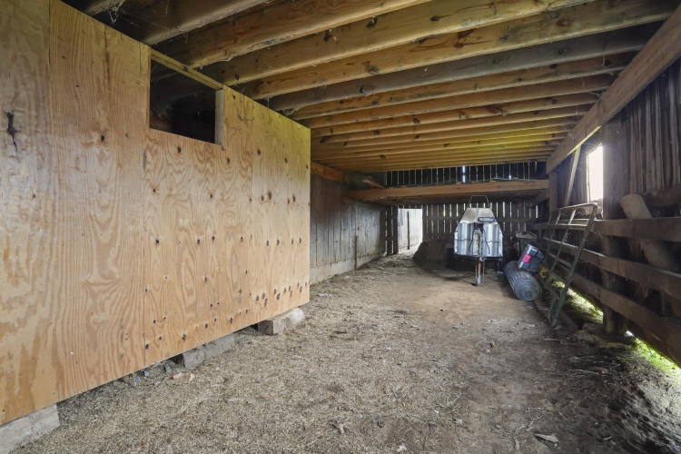 Listing Image 101