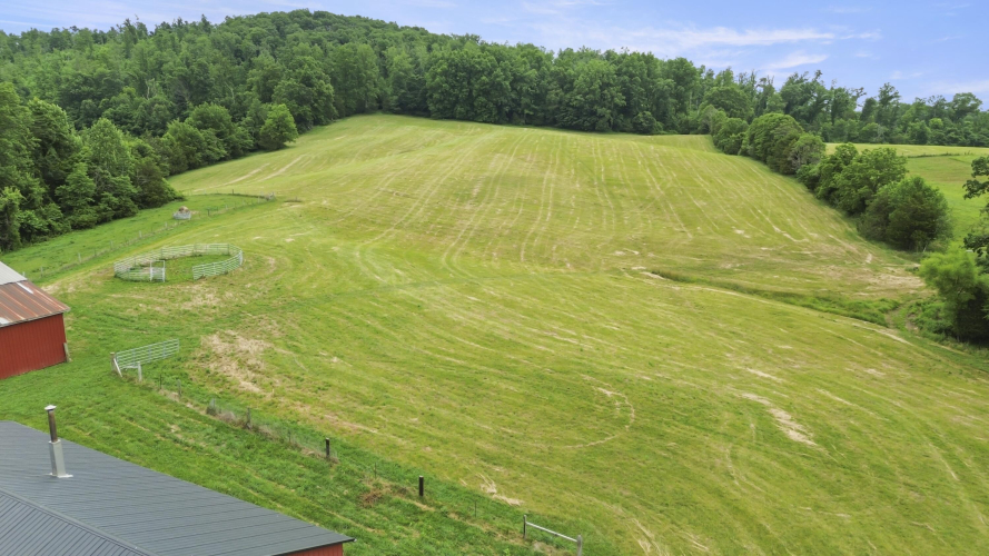 Listing Image 74