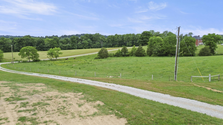 Listing Image 75