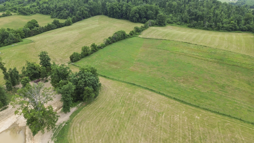 Listing Image 78