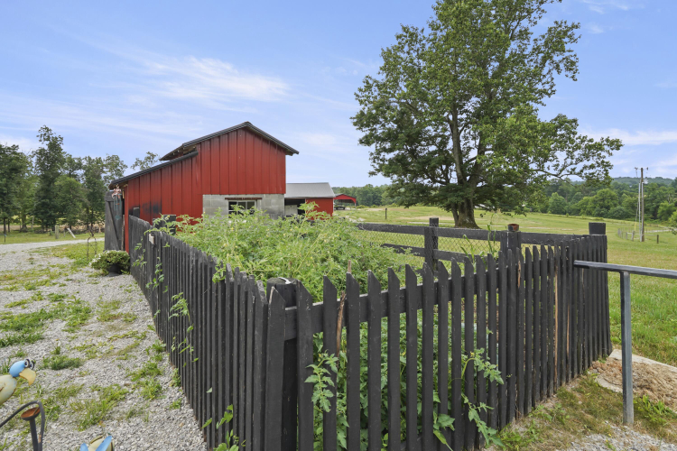 Listing Image 92
