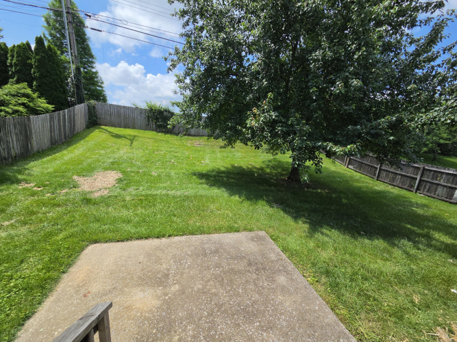 Listing Image 14
