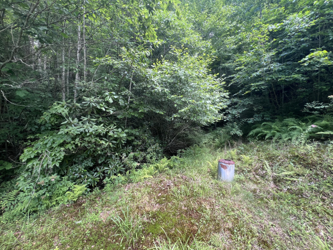 Listing Image 17