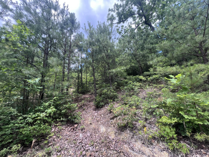 Listing Image 24
