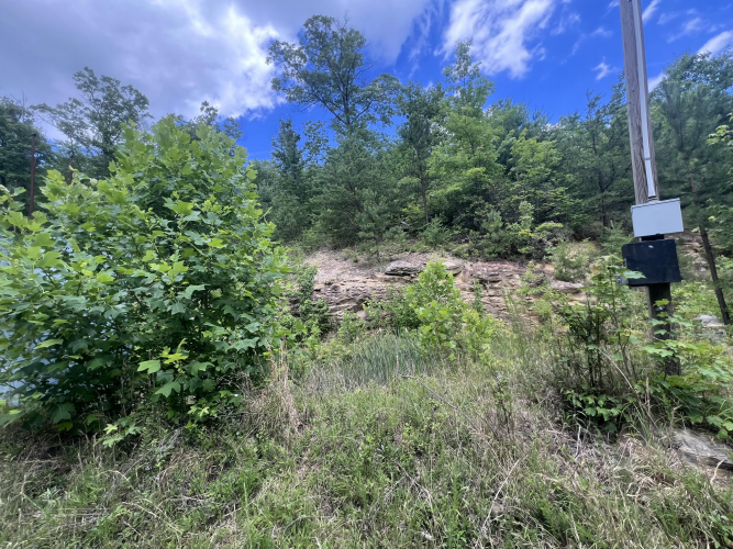 Listing Image 27