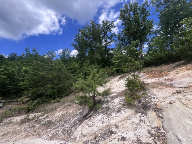Listing Image 29