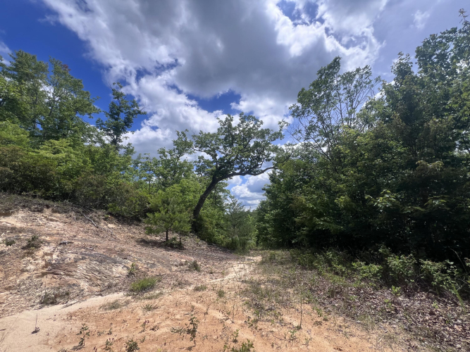 Listing Image 32